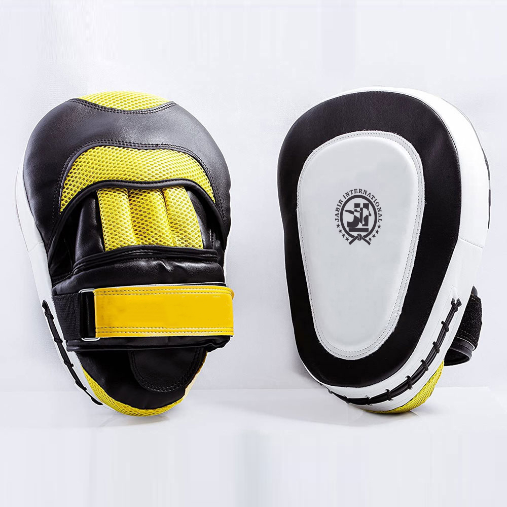 Focus Mitts
