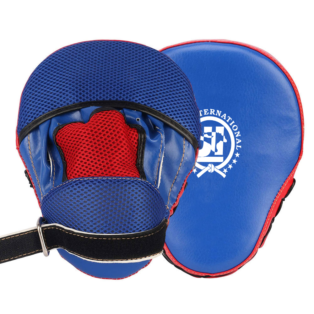 Focus Mitts